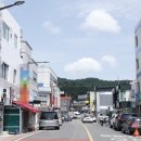 진도엘피지 이미지