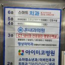 176 | 순천 온내과의원176종 알레르기 검사후기