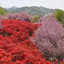 완산체육공원 화장실 이미지