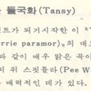 들국화악단 이미지