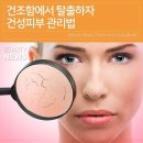 황금피부샾