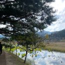 통일전 주차장 화장실 이미지