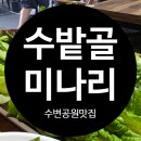 수변공원맛집 직접기른 무농약 쌈 야채가 나오는 수밭골미나리 점심특선후기