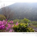 석촌농장 이미지