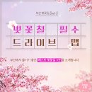 남천동 삼익비치아파트 216동 옆 | 부산 벚꽃 드라이브 명소 추천 🌸 남천동 삼익비치·달맞이길·온천천 벚꽃 코스