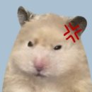 공격성은 높은데 공격력은 낮은 생물.gif 이미지