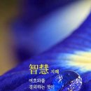 리젠트공인중개사사무소 이미지