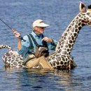 강태공낚시 이미지