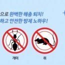 벅스코안양센터