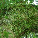 서광동리 이미지