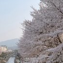 주식회사 무브컬쳐 이미지