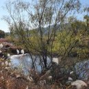 안태지천 이미지