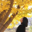 효촌약국 이미지