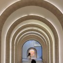 해원렌트카 | 그랜드조선 제주 힐스위트 프레스티지 아기랑 호텔 추천