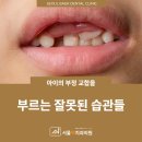 서울백치과의원 이미지