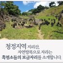 과일야채및생선