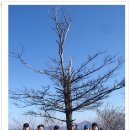 정산체육공원 이미지