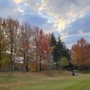 수목 당구장 이미지