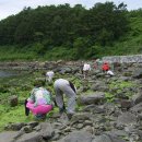 통영민박 이미지