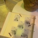 도시철도 거제역 7번출구 | [홍대] 홍대 파티룸 메리후드 신년회 후기