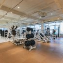 포짐 장기본점 이미지