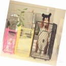 돼지네 울타리 이미지