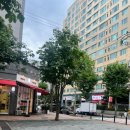 도그플러스 애견미용 | 수원 강아지 미용 맛집 | 아이도그 애견미용 솔직후기