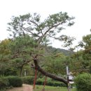 연조공원 이미지