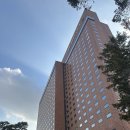 양주실내체육관 배드맨턴장 | [후기] 프리즘 호텔 예약-서울 신라호텔 이그제큐티브 라운지 2인 패키지(그랜드 디럭스)