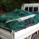 승규농장 이미지