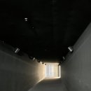[광주 전시] 광주 비엔날레 《판소리 : 모두의 울림》