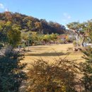 덕산 농장 이미지