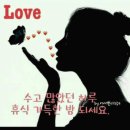 거미 - 기억해줘요 내 모든 날과 그때를 이미지