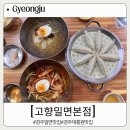 경주밀면맛집 평일에도 줄서지만 회전율이 좋은 고향밀면 본점