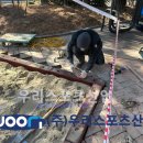 성암국제무역고등학교 이미지