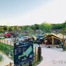 구리토평가족캠핑장 이미지