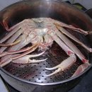 맛난녀석들 이미지