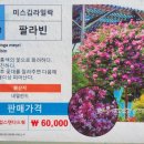 산마루가든센터