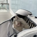 남양종합동물병원 이미지