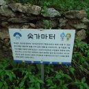 사나사주차장 이미지