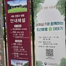 [도심 속 역사 체험] 서울 선릉과 정릉 찾아가는 법/ 이용 시간/ 이용 요금 /역사 이야기