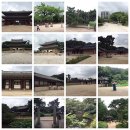잠실리뽕나무 | 여행의 완성_2020년 6월(Vol. 1)
