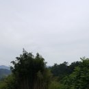 별무리펜션민박 네이버블로그