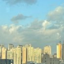 도그매틱 | Dec 2023, 또 한 해의 끝