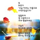타이어명가 티스테이션 빛가람점 이미지