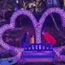 청도프로방스 불빛축제 카라반 펜션 이미지