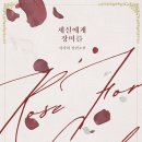 세실 이미지