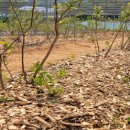 파주시산림조합 이미지