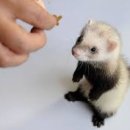 마마동물병원 이미지