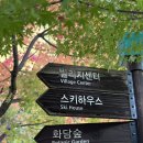 경기도 광주 화담숲 단풍 모노레일 2구간 탑승 후기(feat. 화담채)